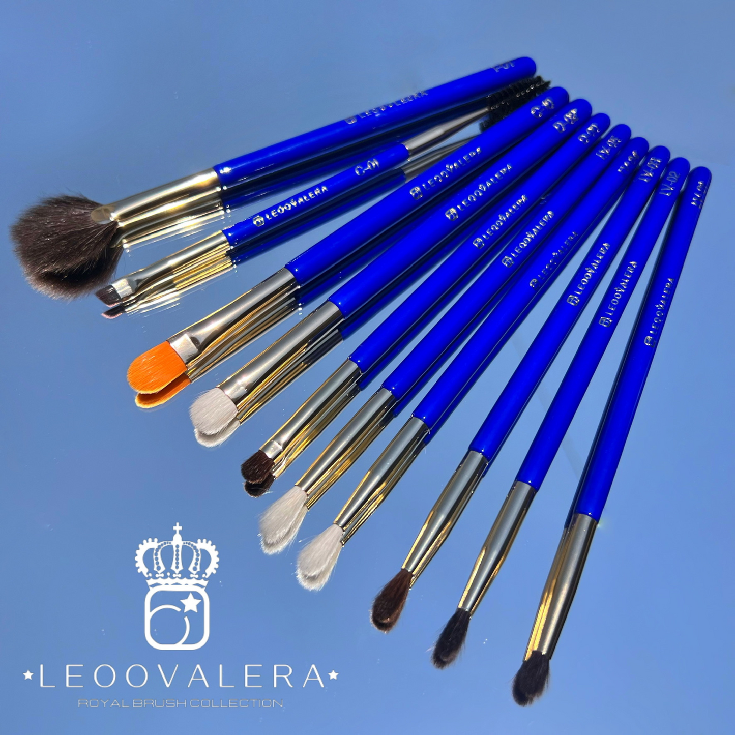 Royal Brush Collection Vol.6